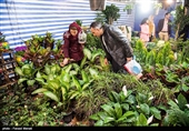Iranians Buy Flowers in Preparation for Persian New Year