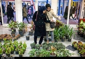 Iranians Buy Flowers in Preparation for Persian New Year