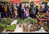 Iranians Buy Flowers in Preparation for Persian New Year
