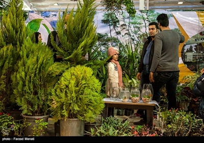 Iranians Buy Flowers in Preparation for Persian New Year