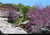 «دره ارغوان» ایلام بهشت رنگ‌های زیبای طبیعت به روایت تصویر
