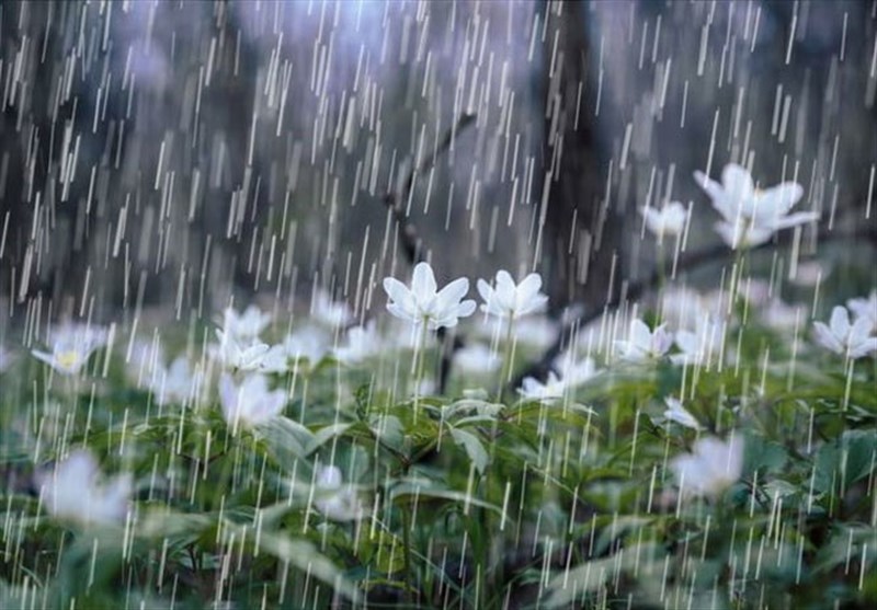 لرستان پر بارش‌ترین استان کشور؛ 1000 میلی‌متر بارندگی ثبت شد