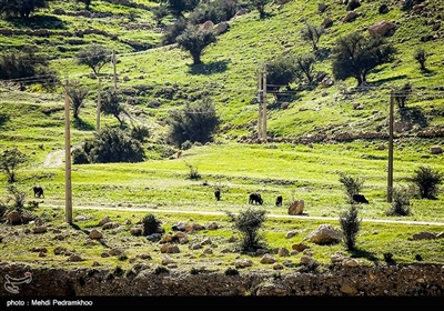 سد مارون و طبیعت اطراف آن 