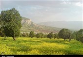 دیدنی‌های جذاب گردشگری استان ایلام به روایت تصویر