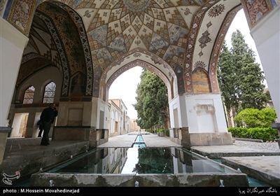 باغ فین یکی از مهمترین نمونه باغ‌های ایرانی است که همچنان زنده و پابرجاست. 