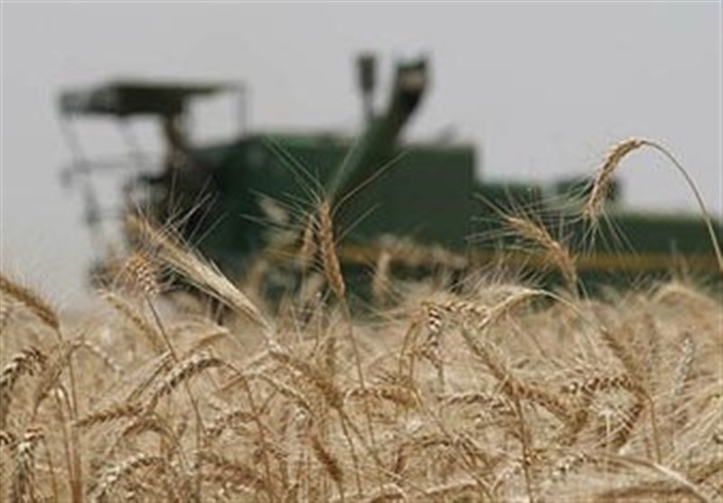 14 درصد محصولات کشاورزی کشور در خوزستان تولید می‌شود