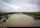 چهارمین روز سیلاب در استان گلستان؛ نیمی از آق‌قلا زیر آب رفت+فیلم