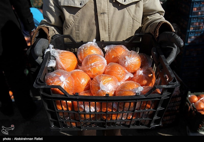 70 هزارتن میوه تولید استان فارس در بازار توزیع می‌شود