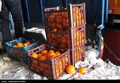 بهار 98|توزیع میوه شب عید با قیمت مصوب دولتی در مسجدسلیمان  آغاز شد