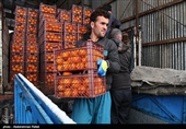 توزیع ذخیره‌های میوه شب عید در فارس آغاز شد