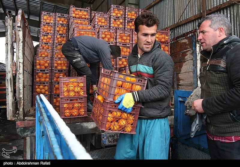 اختلاف قیمت دولتی و بازار آزاد میوه در کردستان