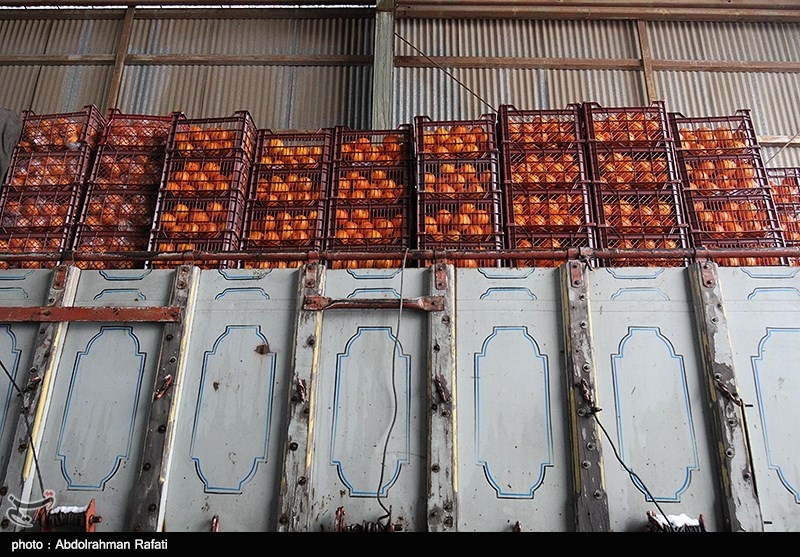 نامه به جهانگیری برای صادرات میوه شب عید/ افزایش قیمت‌ها در بازار