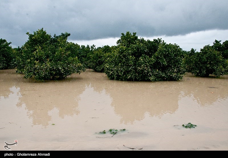 آب سدهای بوستان و گلستان فروکش کرد؛ سیلاب در حال نزدیک‌شدن به 3 شهرستان پایین‌دست گرگان‌رود