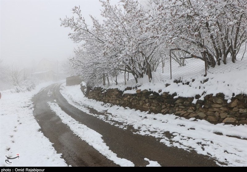 آخرین وضعیت ‌راه‌ها | بارش برف و باران در جاده‌های 3 استان