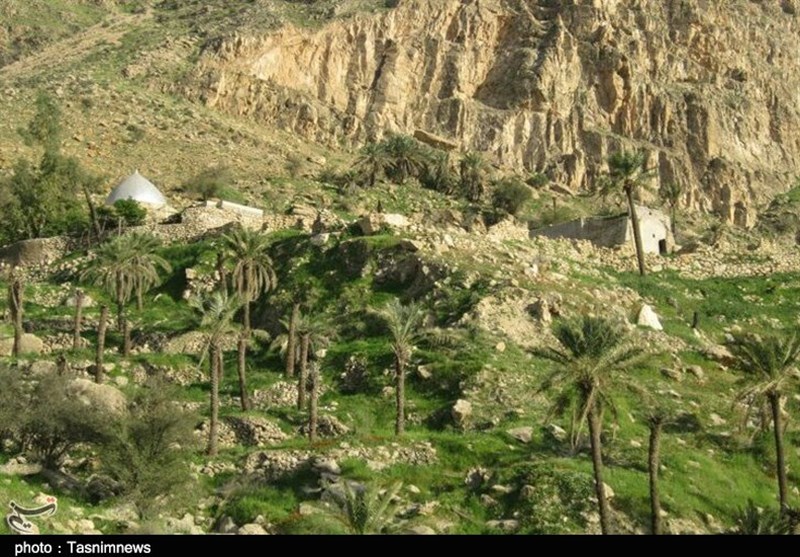بهار 98|روستای تنگ‌تکاب میزبان کل و بزهای وحشی در دامن طبیعت بهبهان+ تصاویر