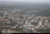 روایتی از خشکاندن نخل‌های میراثی در دل کویر ایران/ باغ‌شهر بم حال خوشی ندارد