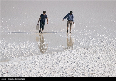 انسان و طبیعت - بمناسبت روز طبیعت