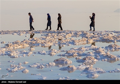 انسان و طبیعت - بمناسبت روز طبیعت