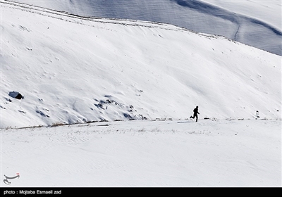 انسان و طبیعت - بمناسبت روز طبیعت