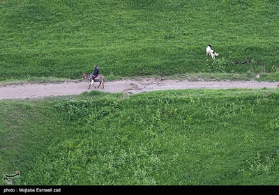 انسان و طبیعت - بمناسبت روز طبیعت