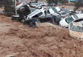 قرائت گزارش سیل شیراز در مجلس/وارد شدن خسارت هزاران میلیارد تومانی به بخش کشاورزی