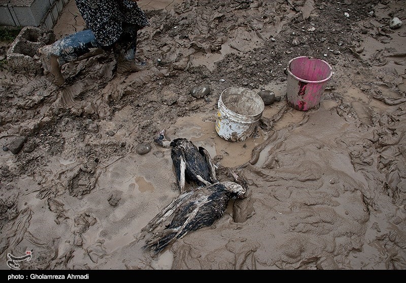 آماری از فوت مددجویان بهزیستی در استان گلستان اعلام نشده است
