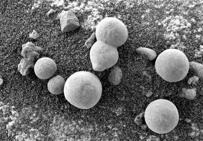 Scientists Find Evidence of Mushrooms Growing on Mars