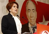حمایت اپوزیسیون از ایجاد حزب سیاسی جدید در ترکیه