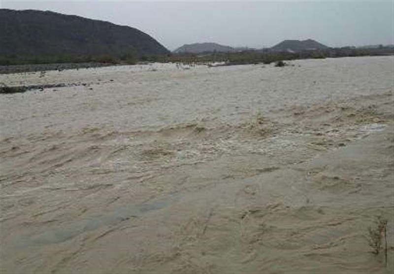 رودخانه‌های استان بوشهر سیلابی و سد تنگ‌ارم پر شد