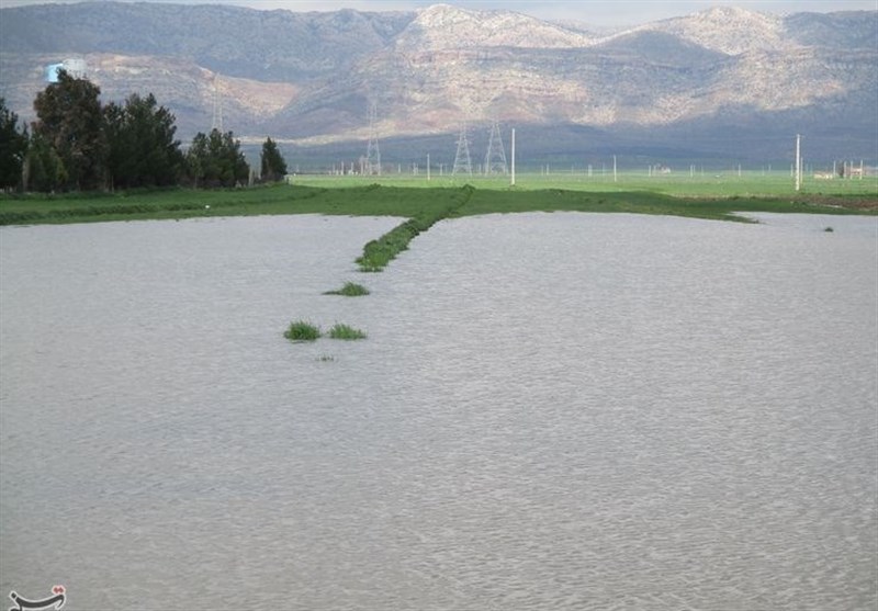 سیل 120میلیارد تومان به کشاورزی کوهدشت خسارت زد