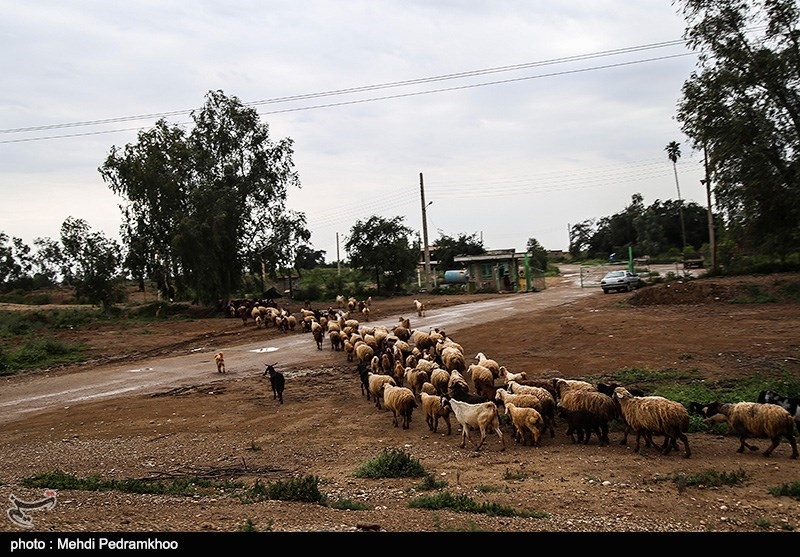خوزستان| دستور تخلیه روستاهای زاویه دزفول صادر شد