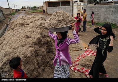 تخلیه روستاهای شعیبیه