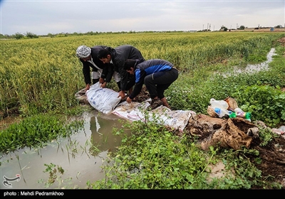 تخلیه روستاهای شعیبیه