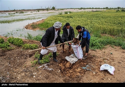 تخلیه روستاهای شعیبیه