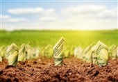 صندوق‌های حمایت از توسعه کشاورزی از فهرست خصوصی‌سازی خارج شدند