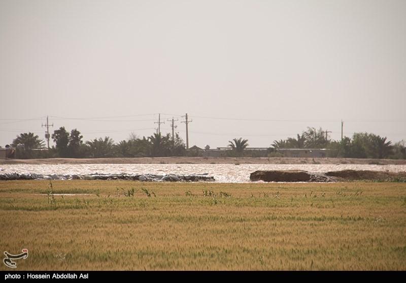 طغیان رودخانه‌ گاماسیاب در هرسین؛ دستور تخلیه روستاهای حاشیه رودخانه