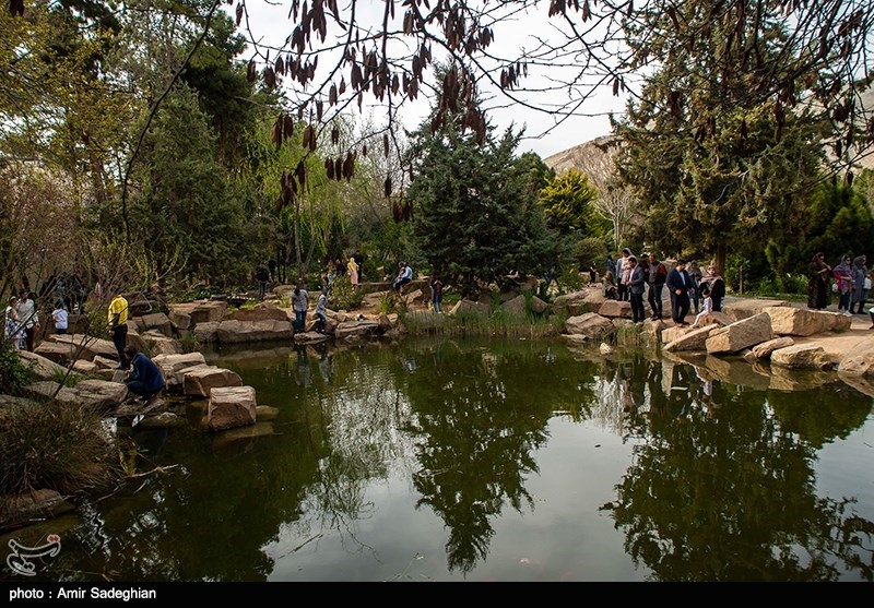 بازدید گردشگران نوروزی از اماکن دیدنی شیراز