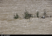 مازندران| سیلاب خسارات بالایی به شهرستان سوادکوه وارد کرده است