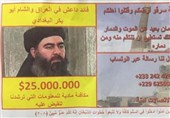 جایزه 25 میلیون دلاری برای دستگیری بغدادی + عکس