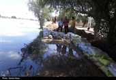 خوزستان| پرداخت خسارت کشاورزان دشت آزادگان در اولویت قرار دارد