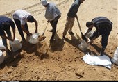 تصاویری از تلاش بی‌وقفه گروه‌های جهادی برای تقویت سیل‌بندهای ساحلی سوسنگرد