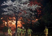 Firefighters Start to Contain South Korea Wildfire as Thousands Evacuated