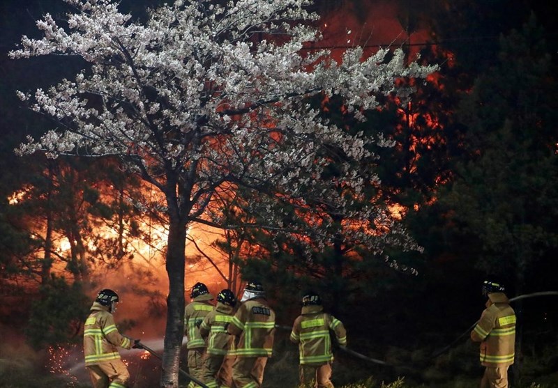 Firefighters Start to Contain South Korea Wildfire as Thousands Evacuated