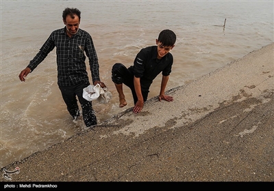 تنها فروشگاه روستا خالیست و تنها منبع غذایی این روزهای اهالی روستا ماهی است هیچ ارکانی امدادی انتظامی تاکنون به روستا مراجعه نکرده است وبرق در بیشتر ساعات روز قطع است