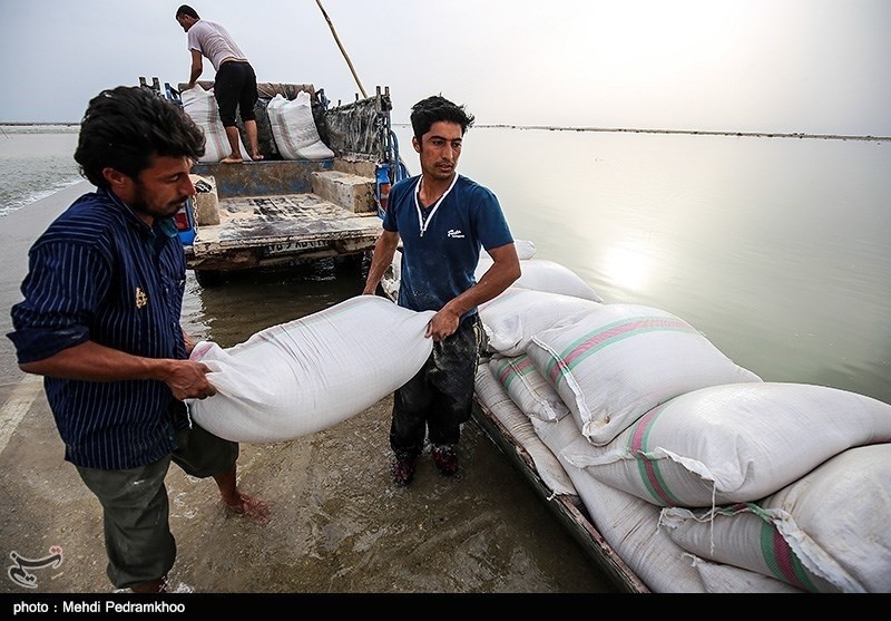 هشدار وقوع سیلاب در خوزستان تا پایان هفته آینده/ تهدید شهرهای پایین دست سد کرخه