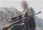 کردستان|شکارچیان متخلف در شهرستان قروه دستگیر شدند