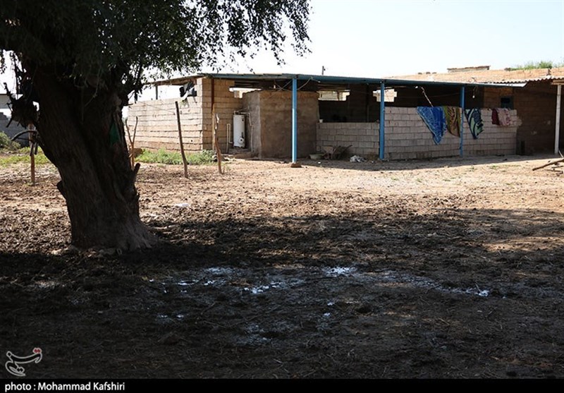 خوزستان| پرداخت خسارت سیل 98 در دزفول آغاز شد