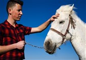تاتارها و پرورش اسب در قونیه ترکیه + عکس