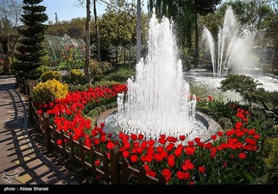 ایران میں موسم بہار، پھولوں کے دلفریب مناظر