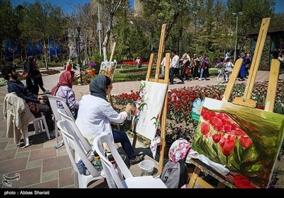 ایران میں بہار کی موسم میں پھولوں کے دلفریب رنگ